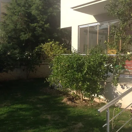 Zeytin 3*