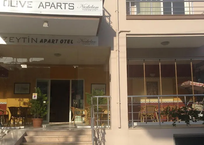 Apart Otel Zeytin