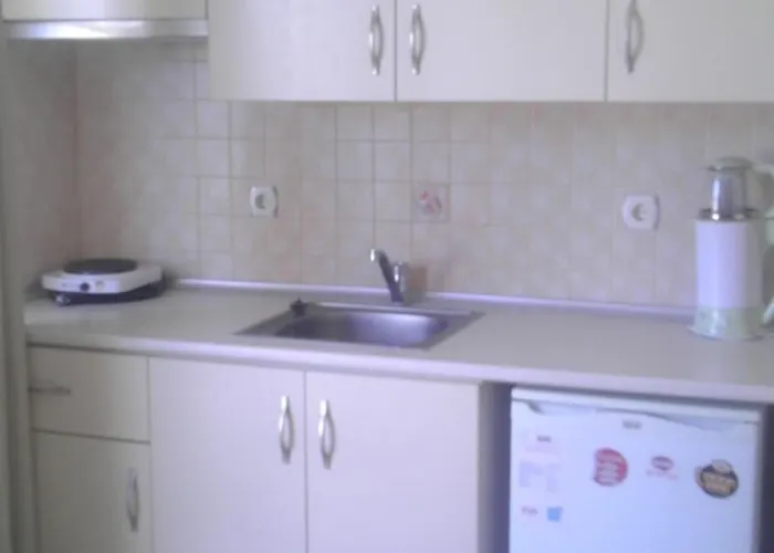 Apart Otel Zeytin 3*